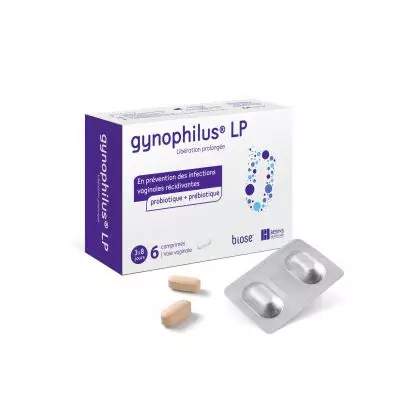 Gynophilus lp boite de 6