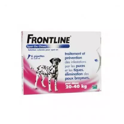 Frontline spot on chien 20-40 kg bte de 6