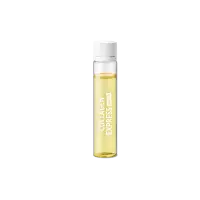 Crème Phyto Collagène – Anti-âge, éclat Et Uniformité De La Peau – SPF 35