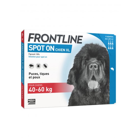 FRONTLINE spot on chien +40kg bte 6