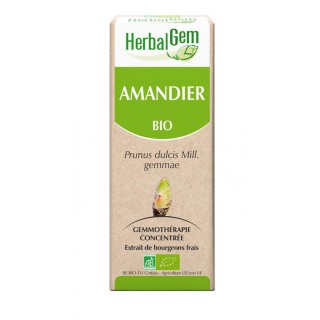 HerbalGem amandier bio - 30ml