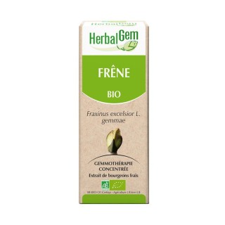 HerbalGem frêne bio - 30ml