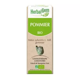 HerbalGem pommier bio - 30ml