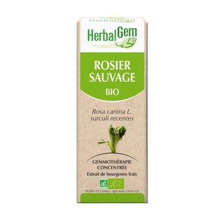 HerbalGem rosier sauvage bio - 30ml
