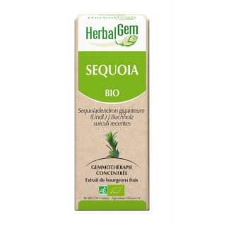 HerbalGem sequoia bio - 30ml
