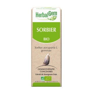 HerbalGem sorbier bio - 30ml
