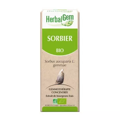 HerbalGem sorbier bio - 30ml