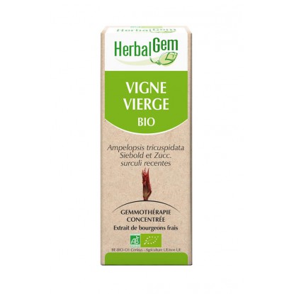 HerbalGem vigne vierge bio - 30ml