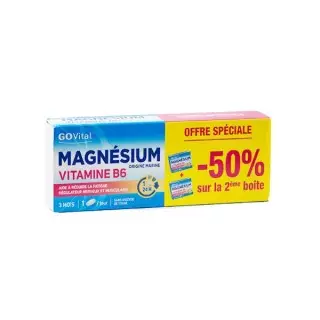 GOVITAL magnésium Vitamine B6 lot de 2X45 comprimés