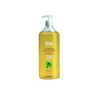 Gravier shampooing bio cheveux gras 500 ml