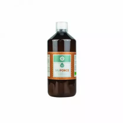 Source claire siliforce bio articulations 1 litre