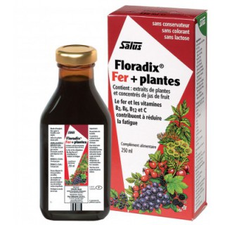 Floradix fer + plantes 250 ml