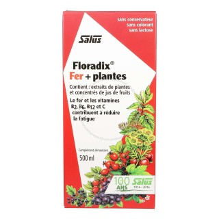 Floradix fer + plantes 500 ml