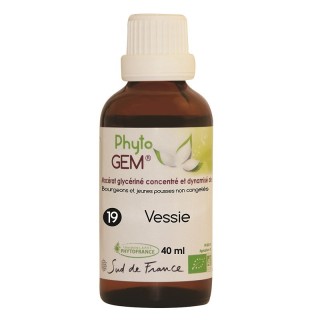 Phyto'gem N°19 vessie Bio - 40ml