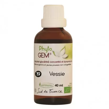 Phyto'gem N°19 vessie Bio - 40ml