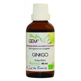 Phyto'gem Bourgeons de Ginkgo Bio - 40ml