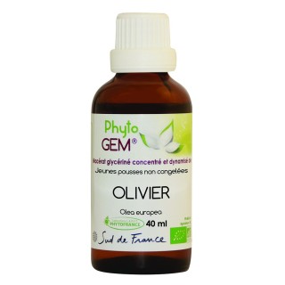 Phyto'gem Bourgeons d'Olivier Bio - 40ml