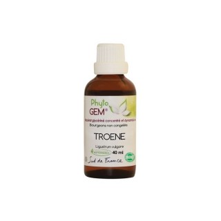 Phyto'gem Bourgeons de Troène Bio - 40ml