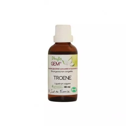 Phyto'gem Bourgeons de Troène Bio - 40ml