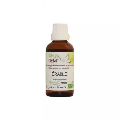Phyto'gem Bourgeons d'Érable champêtre Bio - 40ml