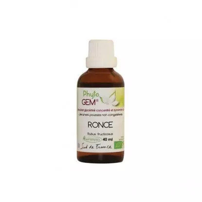 Phyto'gem Bourgeons de Ronce Bio - 40ml