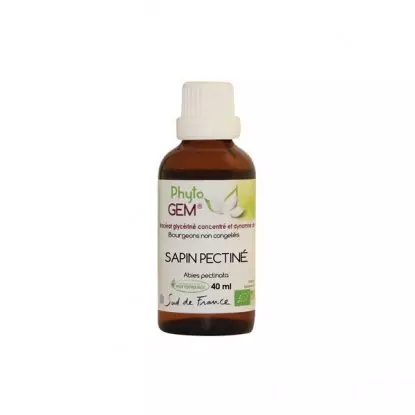 Phyto'gem Bourgeons de Sapin pectiné Bio - 40ml
