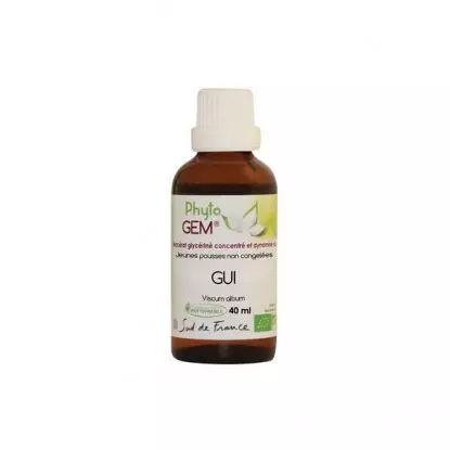 Phyto'gem Bourgeons de Gui du Pommier Bio - 40ml