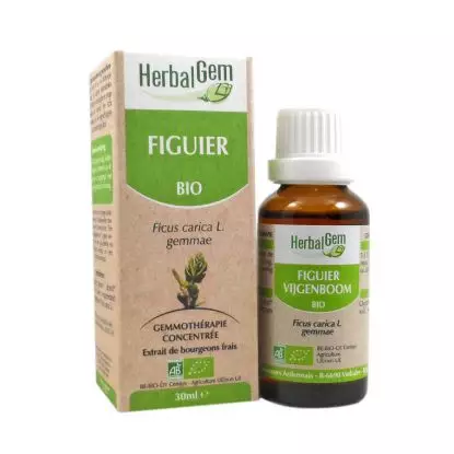 HerbalGem Bio Figuier 30 ml