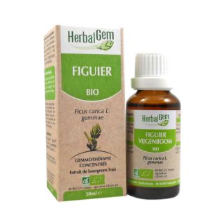 HerbalGem Bio Figuier 30 ml