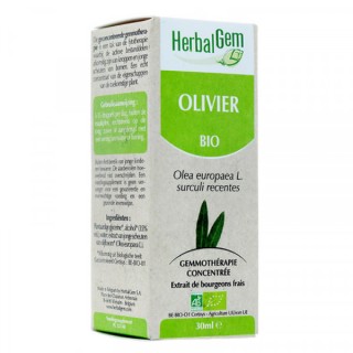 HerbalGem Bio Olivier 30 ml