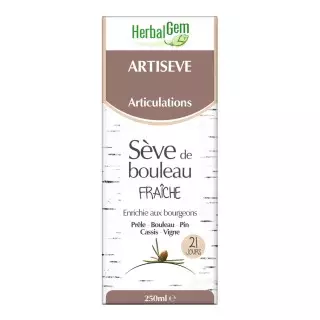 Herbalgem Artiseve 250ml