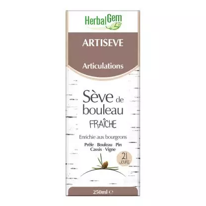 Herbalgem Artiseve 250ml