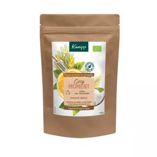 Kneipp Tisane cosy moment Bio - 15 sachets