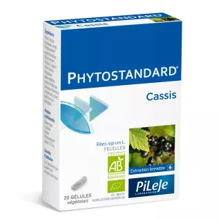 Phytostandard Cassis 20 Gélules