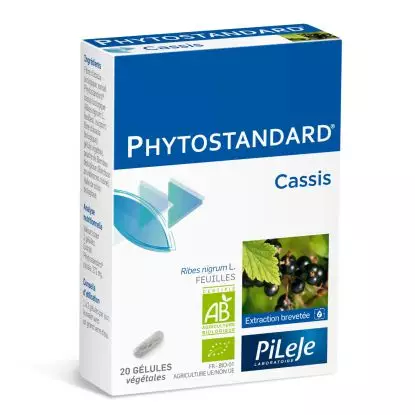 Phytostandard Cassis 20 Gélules