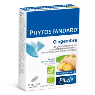 Phytostandard Gingembre 20 gélules 