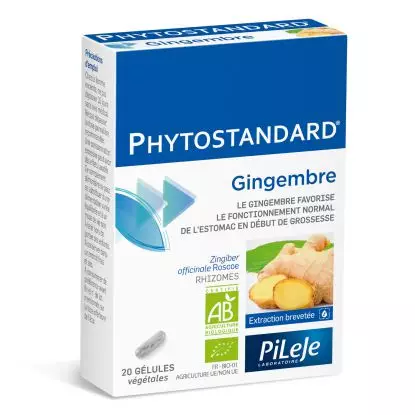 Phytostandard Gingembre 20 gélules 