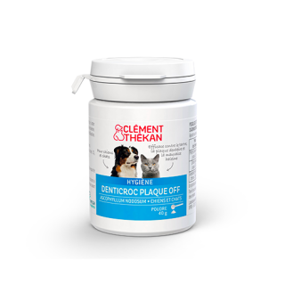 Clement Thekan Denticroc Poudre Pot 40G