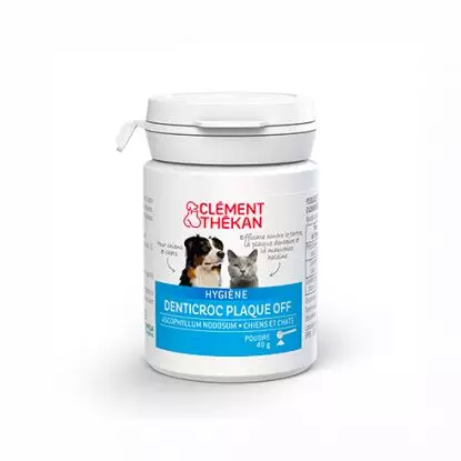 Clement Thekan Denticroc Poudre Pot 40G