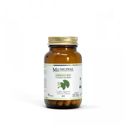 Médiprix Ginkgo Biloba Bio - 45 gélules