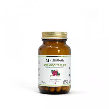 Médiprix Harpagophytum Bio - 45 gélules