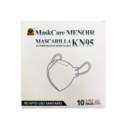 Menoir masques ffp2 CE x 10