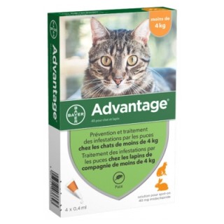 Advantage Antipuces 40 pour chat et lapin, moins de 4 kg, 4 x 0.4 ml