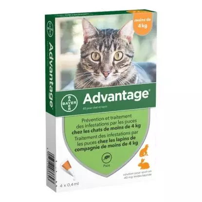 Advantage Antipuces 40 pour chat et lapin, moins de 4 kg, 4 x 0.4 ml