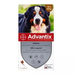 Advantix Chien Solution antiparasitaire très grande race 40 à 60 kg - 4 pipettes