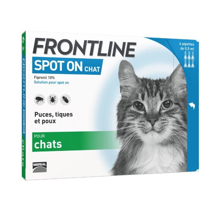 Frontline chat spot on bte 6