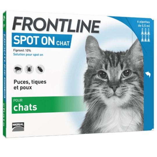 Frontline cat spot on box 6
