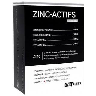 Synactifs ZincActifs - 60 gélules