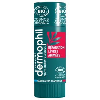 Dermophil Indien Stick réparation lèvres abîmées Bio - 4g