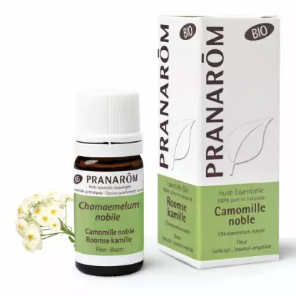 Pranarôm Huile essentielle Camomille noble Bio - 5ml
